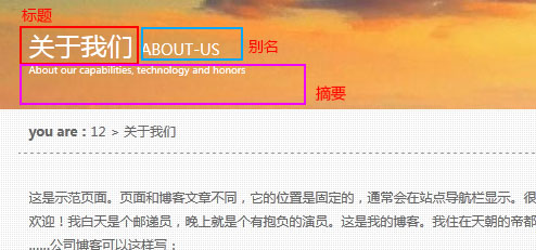 lightpark-WordPress-themepark6