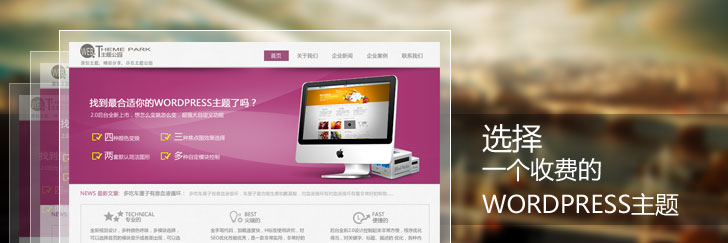 选择一个收费的wordpress主题