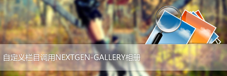 wordpress自定义调用相册