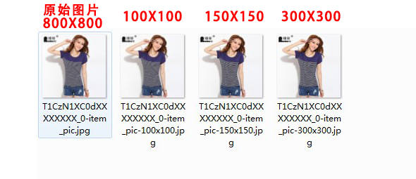 themepark-thumbnail-wordpress