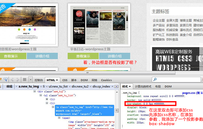 themepark-wordpress-firebug2