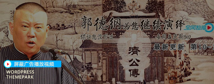 youku-wordpress-themepark2