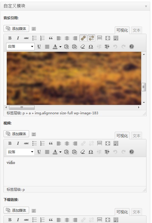 themepark-wordpress-getpostmeta2