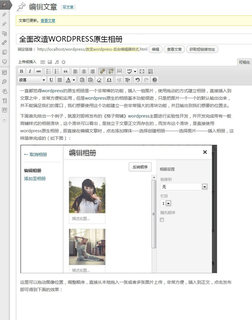 wordpress-editor-style-themepark