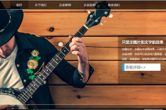 轻极免费版WordPress主题使用教程