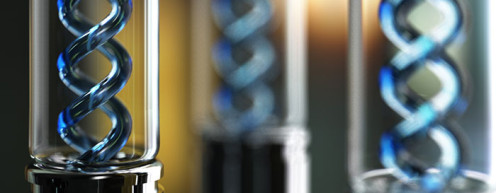 wordpress网站被挂马的现象 wordpress网站被挂马的现象