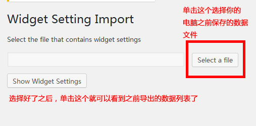 WidgeDataSettingImport3