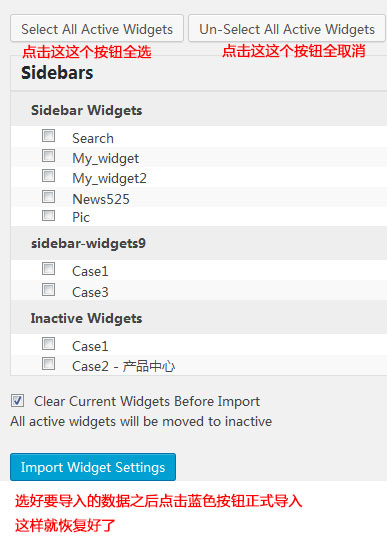 WidgeDataSettingImport4