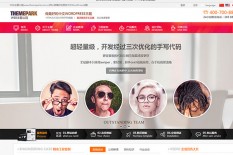 魔术家园WordPress企业主题视频教程