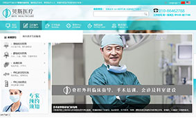 客户网站案例展示–魔术门户WordPress企业主题（images 1）