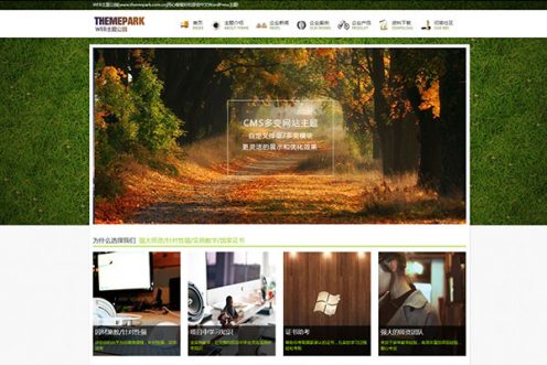 折叠空间wordpress企业主题免费体验版