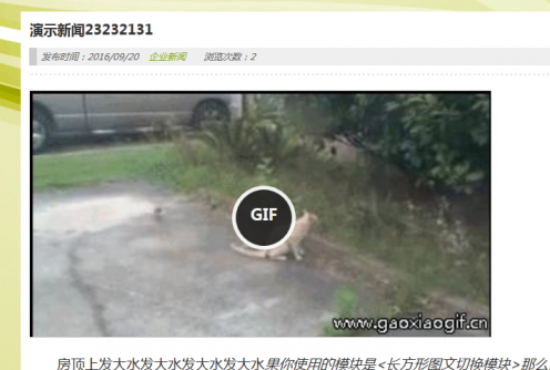 在wordpress网站插入一个gif动图？你需要这款插件