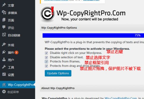 保护你的网站内容，禁止复制wordpress网站的文字