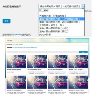 【功能介绍】分类目录/页面/文章选择模板