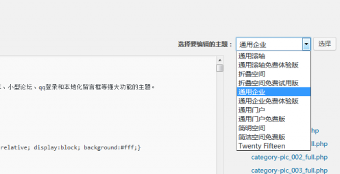 wordpress不允许编辑主题文件（外观–编辑）