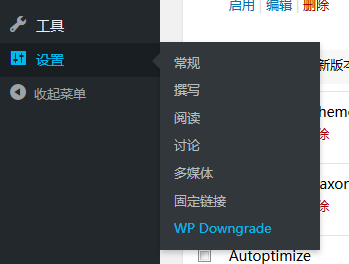 themeparkwordpressdonwn2