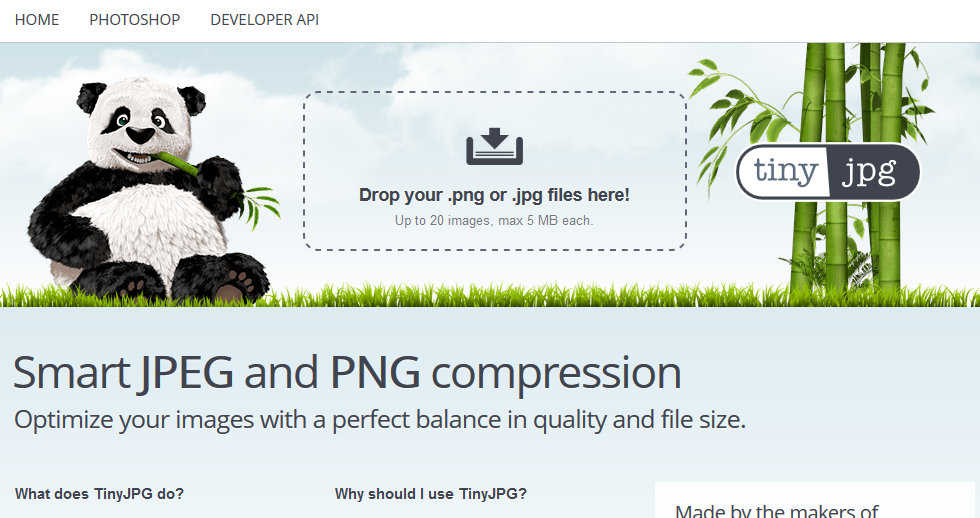 themeparkwordpressimg