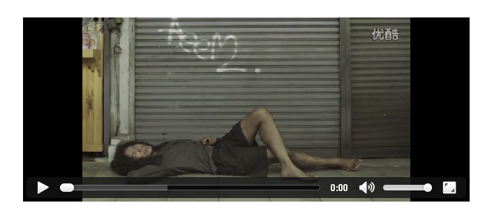 themeparkwordpressvedio