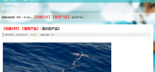 给wordpress添加高亮的副标题
