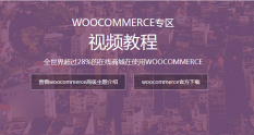 woocommerce高级主题付费版视频教程【合集】 woocommerce高级主题付费版视频教程【合集】