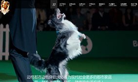 客户网站案例展示–通用滚轴WordPress企业主题（images 7）