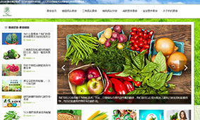 客户网站案例展示–折叠空间WordPress企业模板(images 1)