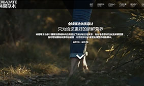 客户网站案例展示–通用滚轴WordPress企业主题（images 4）