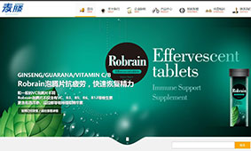 客户网站案例展示–魔术视差WordPress企业模板(images 3)