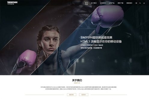 云端视差免费版WordPress主题