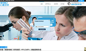 客户网站案例展示––云端目录woocommerce商城主题（images 2）