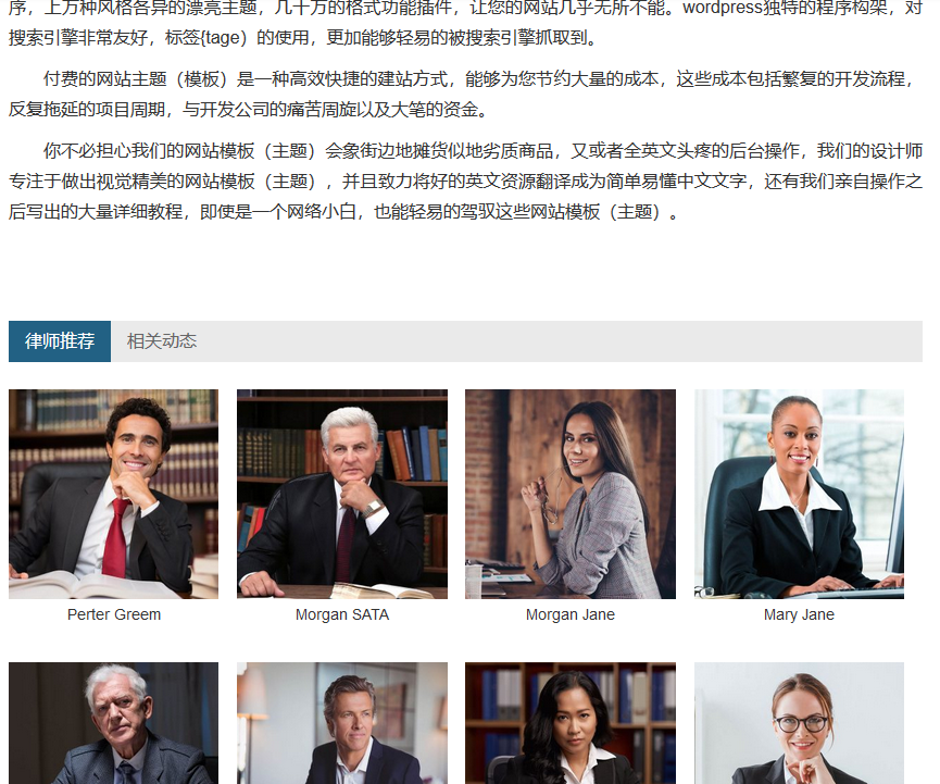 千面视界WordPress多行业主题-企业版 - 一键导入演示数据（images 4）