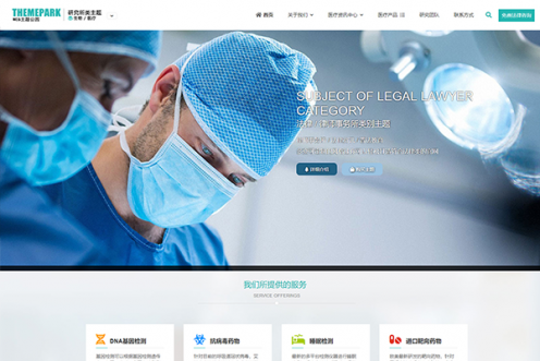 千面视界WordPress多行业主题-免费版