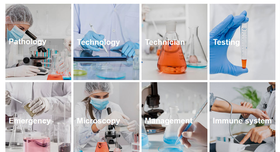 图片并排滚动模块-产品图片分类-企业优势图文-团队介绍-wordpress可重用区块下载（images 3）