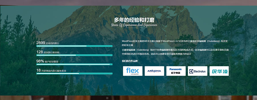 旅游旅行行业视频背景-模块拆分-wordpress可重用区块下载（images 11）