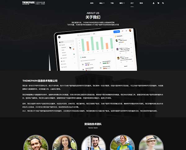 软件开发-互联网服务-虚拟产品-深色系官网加商城-WordPress区块商城主题单页面拆分下载(images 3)