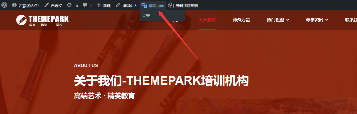 translatepress-本地存储的多功能语言切换插件(images 7)